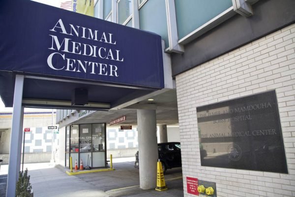 Animal Medical Center 02 600x400 